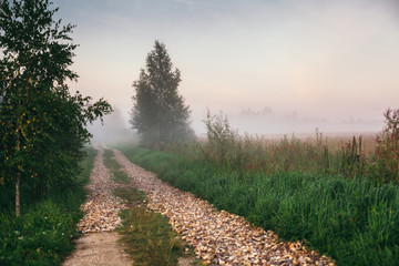 Picturesque country stone road among foggy fields at dawn, Moscow region, Russia
