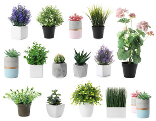 Fototapeta na wymiar Set of artificial plants in flower pots isolated on white