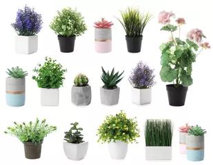 Fototapete Pflanzen Set von künstlichen Pflanzen in Blumentöpfen isoliert auf weiß