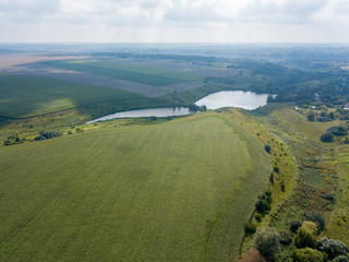 Naklejka premium Aerial drone view. Ukrainian green corn field on a summer day.