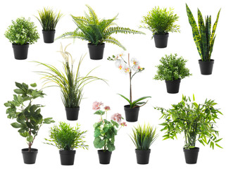 Fototapeta na wymiar Set of artificial plants in flower pots isolated on white