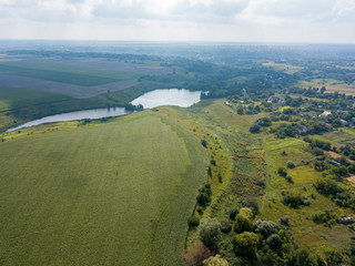 Naklejka premium Aerial drone view. Ukrainian green corn field on a summer day.