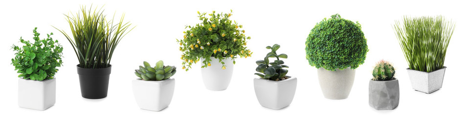 Set of artificial plants in flower pots isolated on white. Banner design