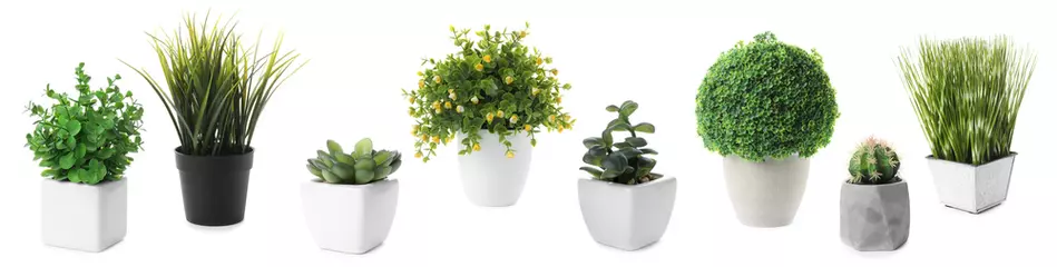 Fototapete Pflanzen Set von künstlichen Pflanzen in Blumentöpfen isoliert auf weiss. Banner-Design