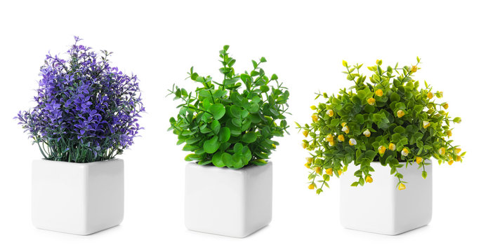 Set of artificial plants in flower pots isolated on white. Banner design