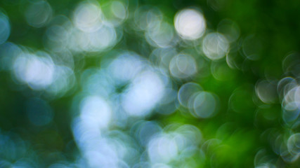 Obraz premium Green light nature , Bokeh background