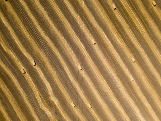 Aerial drone view. Harvested Ukrainian wheat field.