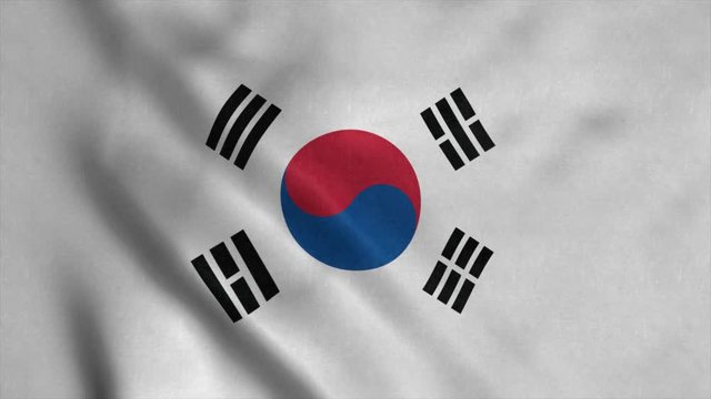South Korean flag waving in the wind. National flag of South Korea
