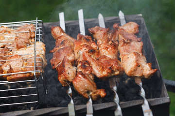 grill barbecue meat on a brazier with smoke, green grass background