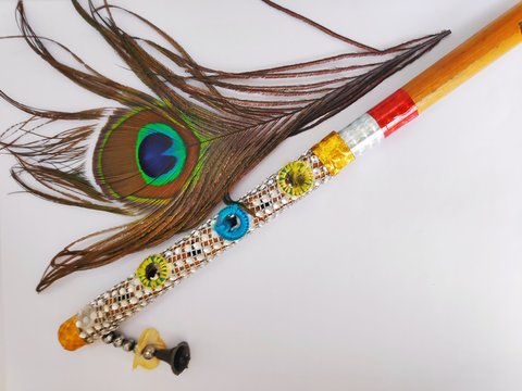 Beautiful peacock feather on white background