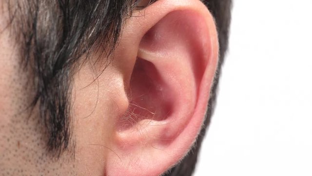 Closeup on the ear of a young man. Human body part over a white screen background.
