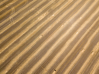 Fototapeta premium Aerial drone view. Harvested Ukrainian wheat field.