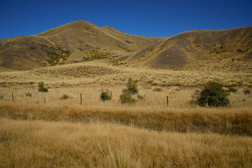 Mountain and farm on scenic road Queenstown New Zealand