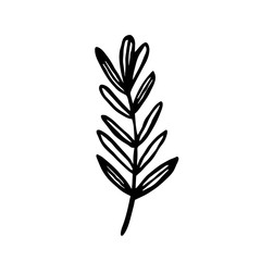 Herbs. Ink plant. Black color. Vector illustration isolated on white background. Little leaf, branch. Magic, medical, cosmetics ingredient, stuff.