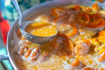 Close focus of Vietnamese braised beef offal or beef offal stew ( pha lau ): It's a popular snack in southern Vietnam, Vietnamese street food.