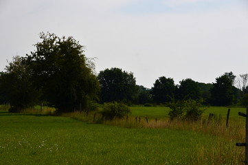 An der Alten Leine, Ahlden, Niedersachsen