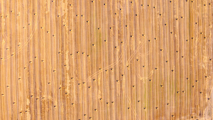 Aerial view at a wide agricultural field with many bales of straw on it.