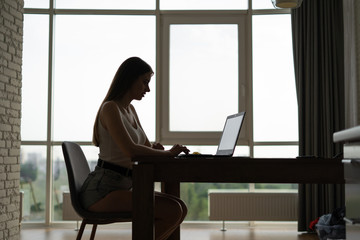 Naklejka premium Side view of creative woman freelancer sitting in front of laptop computer, young business woman working on netbook in modern hotel.