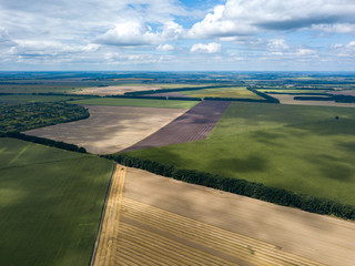 Aerial drone view of Ukrainian agricultural fields.