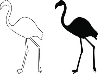 flamingo vector illustration