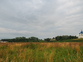 photo of a Russian large field above a cloudy sky