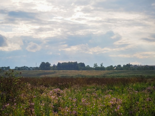 photo of a Russian large field above a cloudy sky