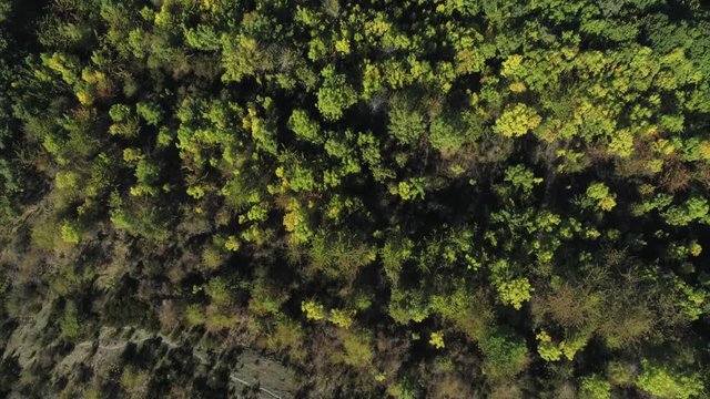 Beautiful trees and  village of Pe&ntilde;alba de Santiago. Leon, Spain. Aerial Drone Footage