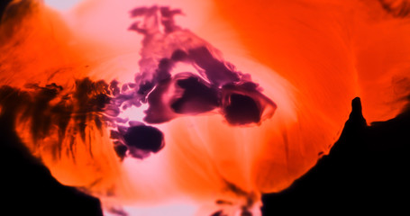 Macro Paint with Neon Color Palette. Oil Mixed with Orange and Pink Dye and Paint. Created Shadowy...