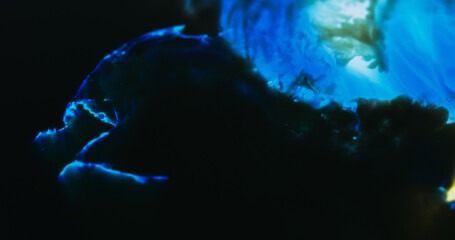 Macro Paint with Neon Color Palette. Oil Mixed with Blue and Teal Dye and Paint. Soft Focus.