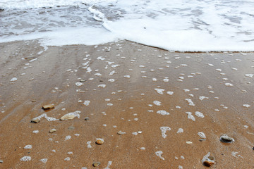 Shore Sea Surf