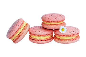 Delicious homemade macarons with passion fruit filling, sprinkled with dragon fruit powder, decorated with daisy flower. Copy space, isolated on white background
