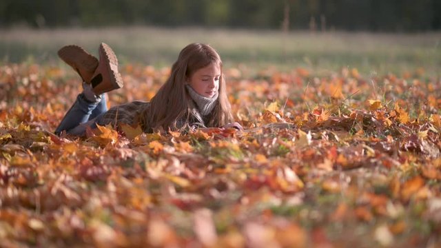 Sweet Girl in Polto Reads a Book Lying on Autumn Fallen Leaves. A Child Reads A Book in a Sunny Autumn Park.