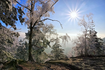 Fototapeta na wymiar Elbsandsteingebirge im Winter - Elbe sandstone mountains in winter