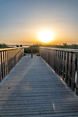 Fototapeta premium Paysage de Camargue - Camargue landscape