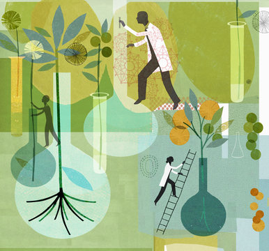 Scientists studying plants