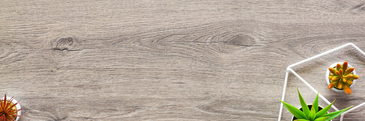 Wooden home desk. Copy space. succulents, a geometric toolbox. View from above. Panorama.