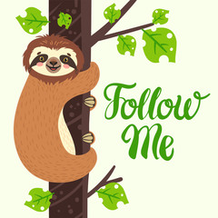 Sloth on the branch. Vector illustration with bear, leaves and lettering Folllow me on white background. Greeting card.
