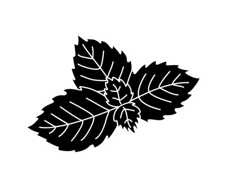 black and white mint leaves clip art preview