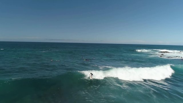 Drone Aerial Surfer Wave Maui Hawaii Hookipa