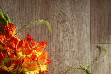 flatlay background for school. red orange gladioli fire color on a wooden background