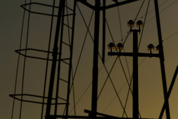 Backlit light pylons at sunset.
