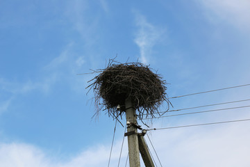 Stork's nest on a pole. Beautiful background. Close-up.