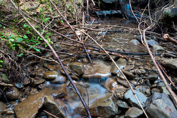 Long exposure image of a small mountain creek, due the  heavy deforestation the water is filled with pine wood brenches in Transylvania, Romania.