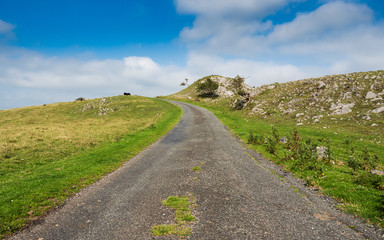 Welsh mountain road in summer