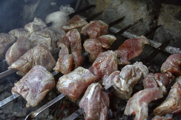 meat, barbecue on coals, over an open fire