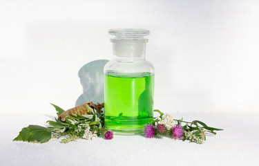 Obraz na płótnie Canvas Natural green shampoo from decoctions of useful herbs. In a glass e jar, on a white background, decorated with flowers