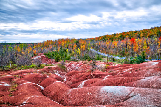 The red and white clay hills of the Cheltenham Badlands formation in Caledon, Ontario, Canada, surrounded by a forest of brightly autumn leaf color...