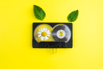 audio cassette with chamomile flowers and green mint leaves on yellow background