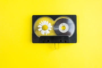 audio cassette with chamomile flower on yellow background
