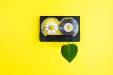 audio cassette with chamomile flowers and green tree leaves on yellow background